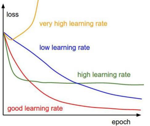 不同学习率的影响